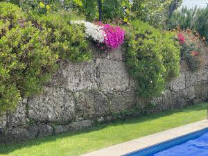 Um jardim no exterior de Quinta do Sonho