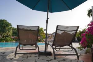 Bazén v ubytování T2 spacieux, confort, piscine & plage à Sainte-Anne nebo v jeho okolí