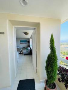 a hallway with a potted tree in a room at Bonito Loft in Ixtapa +21 photos