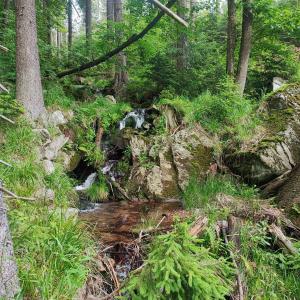 Fotografie z fotogalerie ubytování Willa Pod Dobrym Humorem v destinaci Miedzygorze + 29 fotografií