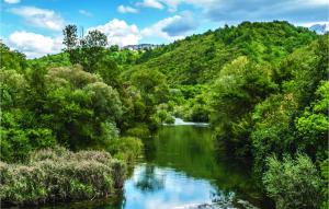 Príroda v okolí apartmánu