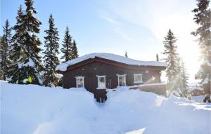 a house with a pile of snow in front of it at Stunning Home In Sjusjøen With Kitchen in Sjusjøen +5 photos
