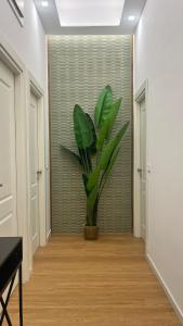 a hallway with a plant in the middle of a room at La Pennichella Vista Veneto in Agropoli