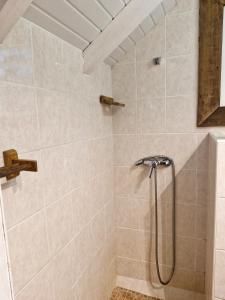 ein Badezimmer mit Dusche mit Duschkopf in der Unterkunft Petite case creole avec jardin au calme in Marigot + 7 Fotos