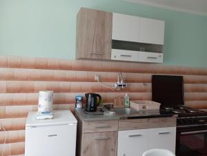 Una cocina o zona de cocina en Apartman Miki Jovanović