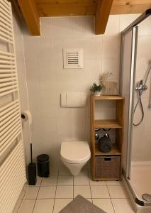 a small bathroom with a toilet and a shower at Edelweiss -229- in Mittenwald