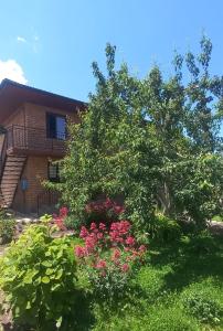 a garden with pink flowers in front of a building at У Эльмиры in Kaji-Say