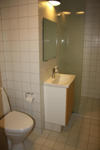 La salle de bains est pourvue de toilettes, d'un lavabo et d'un miroir. dans l'établissement Løgumkloster Refugium, à Løgumkloster