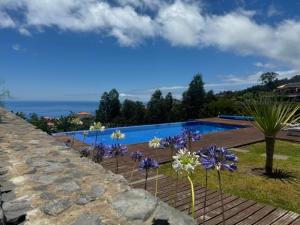 a swimming pool with purple flowers in a yard at ModuLAR in Calheta