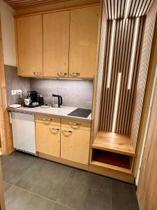 Kuchyň nebo kuchyňský kout v ubytování Apartment mit Indoor Pool und Garten