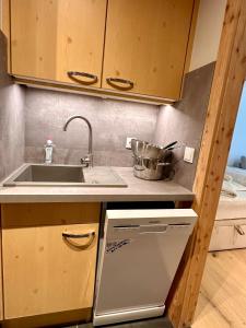 Kuchyň nebo kuchyňský kout v ubytování Apartment mit Indoor Pool und Garten