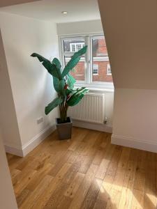 Imagen de la galería de Luxury Penthouse Appartment, en Cobham 21 fotos más