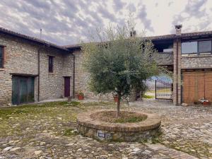 a tree in a stone circle in front of a building at Maison di Sarah in Buschi