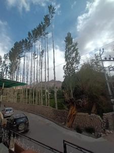 Un coche aparcado en una carretera junto a un grupo de árboles. en Skara Homes, en Leh