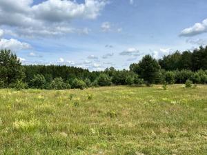 Gallery image of Międzylasami - dom wakacyjny in Międzylesie