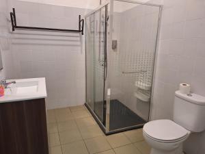 a bathroom with a shower and a toilet and a sink at Villa Margarida in Viana do Castelo +51 photos