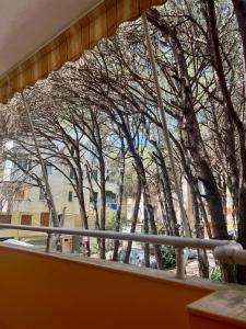 a view of trees from a window of a building at Coastal Comfort Apartament in Golem