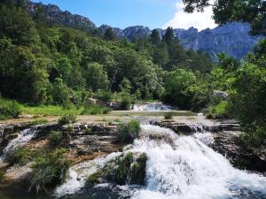 a river with a waterfall in a forest at Ca la Cabrera in Alfara de Carles