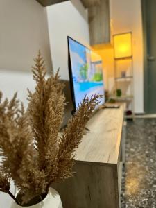 a desk with a computer in a room with plants at Molys House in Igoumenitsa +12 photos