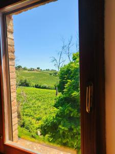 una finestra con vista su un campo di viti di B&B Nel Vigneto a Castelplanio
