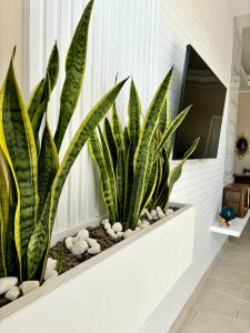 a room with two plants on a wall at B&B Casa Dolce Casa in Nardò +76 photos