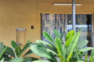 Φωτογραφία από το άλμπουμ του Veeris Apartments σε Willemstad