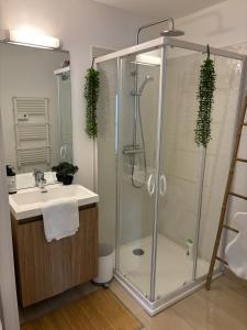 a bathroom with a shower and a sink at Cottage Larris - proche Aéroport - navette Gare in Beauvais