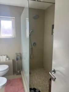 a bathroom with a shower with a toilet and a glass door at Luxury 2 Apartment in Bijelo Polje +26 photos