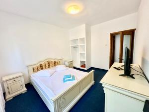 a bedroom with a bed and a desk with a tv at Sunsilva in Olimp