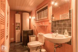 a bathroom with a toilet and a sink at Le Balcon de Novel - Chalet en pleine nature in Novel +18 photos