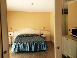 a bedroom with a bed and a desk and a television at Hotel Columbus in Lignano Sabbiadoro