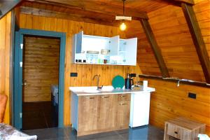 a kitchen with a sink in a wooden wall at Gezegen Bungalow in Sapanca
