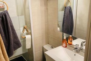 une salle de bain avec un lavabo, des toilettes et un miroir dans l'établissement Résidence au bord de l étang de Thau, à Marseillan 14 autres photos