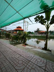 Φωτογραφία από το άλμπουμ του Homestay 1999 σε Tân Tạo