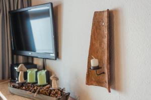 Μια τηλεόραση ή/και κέντρο ψυχαγωγίας στο Hans im Harz