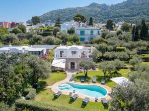 Πισίνα στο ή κοντά στο Luxury central Villa with pool and privacy