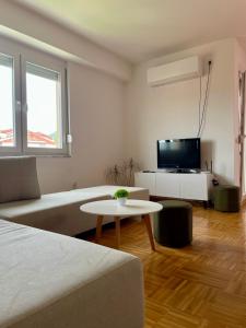 TV a/nebo společenská místnost v ubytování VELVET Apartment 5 minutes to center