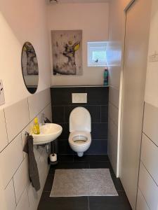 a small bathroom with a toilet and a sink at B&B Het Kleine Huisje met Hottub in Emmen