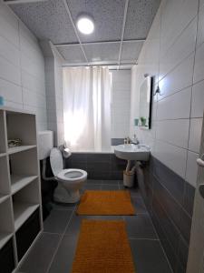 Koupelna v ubytování Apartman Iva