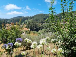 a field of flowers with mountains in the background at Quiet Countryside Nature Retreat in Santa Cruz