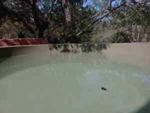 Gallery image of The Eco Hut in Hoedspruit