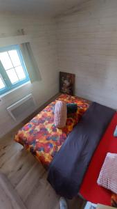 a bedroom with a bed in a room with a window at Puck B&B Babbita in Hasselt +17 photos