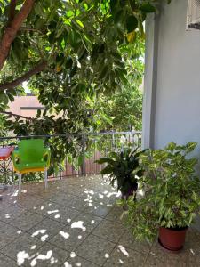 Zahrada ubytování Albi's Guesthouse
