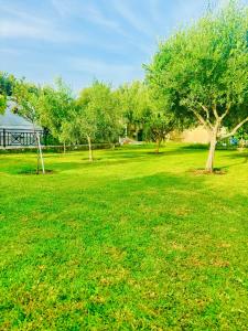 Fotografie z fotogalerie ubytování Villa Katerina ve městě Kos