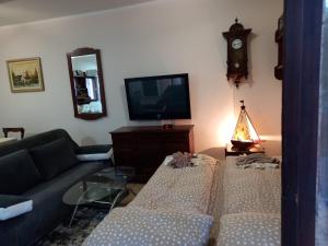 a living room with a couch and a tv at Radicini konaci in Vinci +1 photo