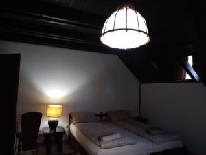 a bedroom with two beds and a light fixture at Radicini konaci in Vinci