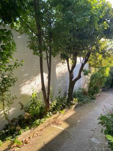 Ảnh trong thư viện ảnh của Little Normandie ở Saint-Ouen