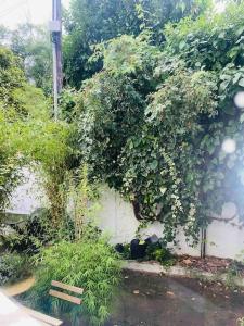 Ảnh trong thư viện ảnh của Little Normandie ở Saint-Ouen +6 ảnh