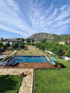 a swimming pool in a yard with a mountain in the background at Villa Bianca in Muğla
