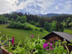 Příroda nedaleko apartmánu + 32 fotografií